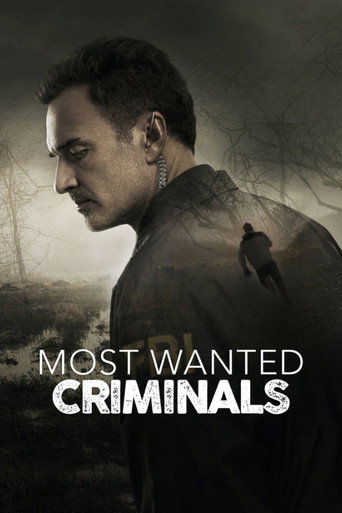 FBI: Most Wanted — Pósters 19