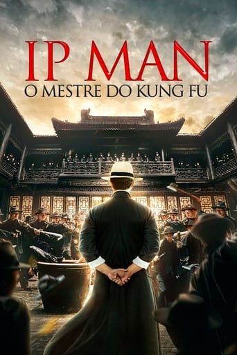 Ip Man Kung Fu Master