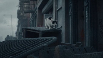 #36 Тихе місце: День перший
