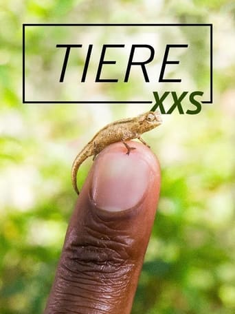 Tiere XXS