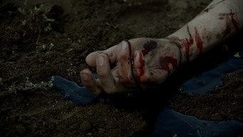 Descent media image