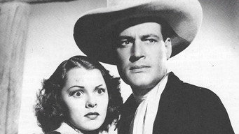 The Stranger from Texas (1939)
