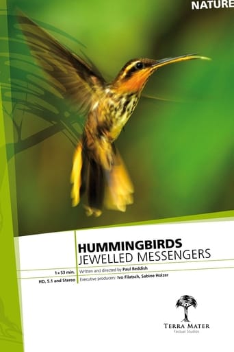 Hummingbirds Jewelled Messengers