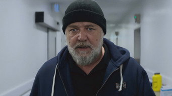 #19 Сплячі собаки