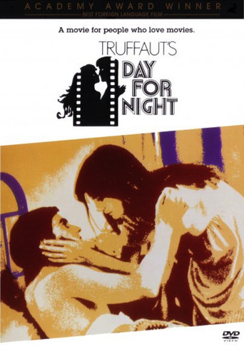 Day for Night: An Appreciation (2003)
