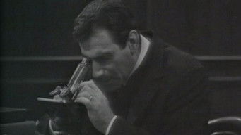 Episode 2 — Episode 2