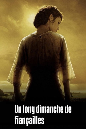 Poster 6