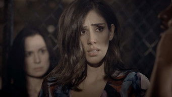 Episode 24 — Episode 24