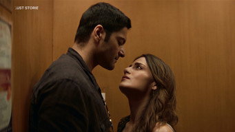 #10 Lust Stories 3