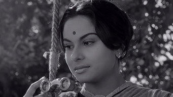 #8 Charulata