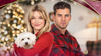 Dognapped: Hound for the Holidays (2022)