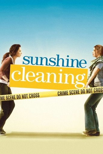 poster Sunshine Cleaning