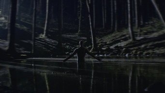 #9 The Despair