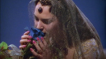 Still 4 from The Thief of Bagdad