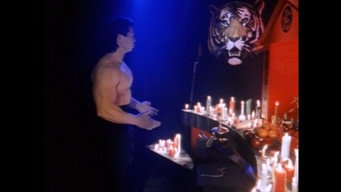 Безстрашний тигр (1991)