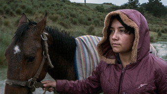 The Echo (2023)