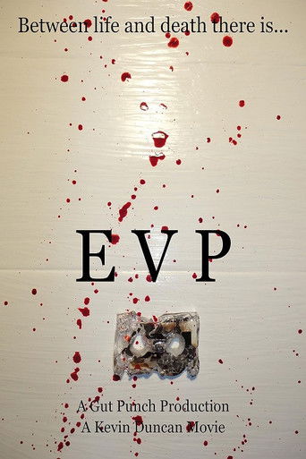 E.V.P. poster
