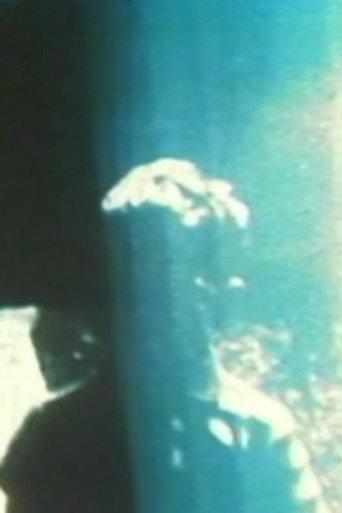 Fissures (1999)
