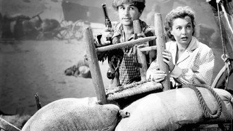 Davy Crockett, Indian Scout (1950)