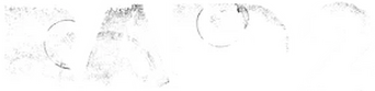 Raid 2 logo