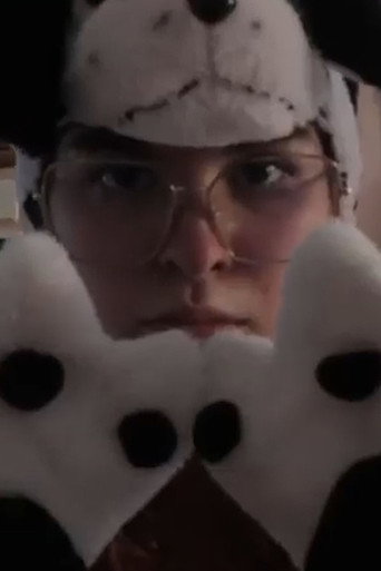 Poster film IL FURRY