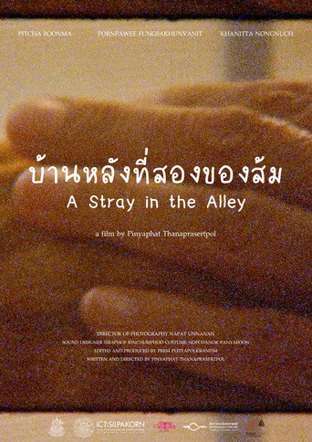 A Stray in the Alley