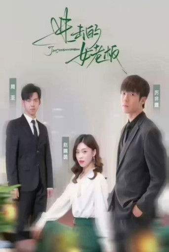 进击的女老板 poster