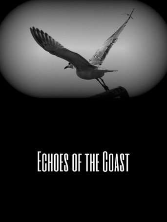 Echoes of the Coast (2026)
