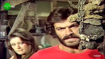 The Misogynist (1973)