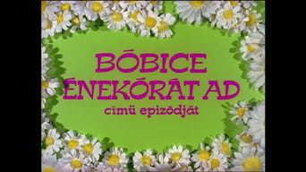 Bóbice énekórát ad