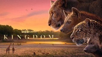 Kingdom (2025)