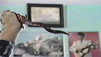 555 (1988)