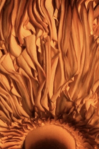 To the Inland Ocean poster