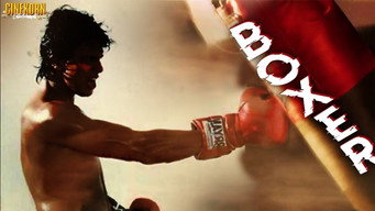 #4 Boxer