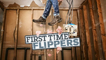 First Time Flippers (2013- )