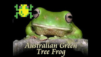 Frogger, Australian for Games
