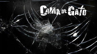 Cena de Cama de Gato