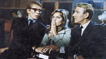 #7 Carnaby, M.D.