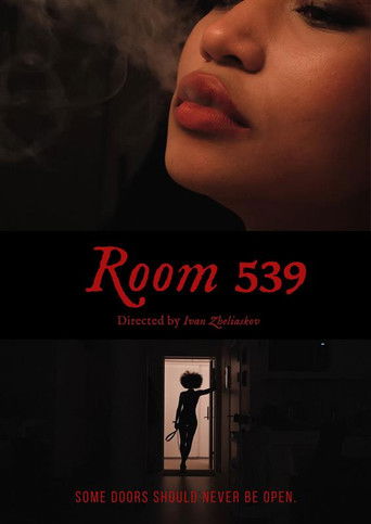 Room 539 (2026)