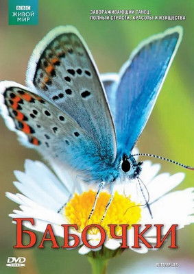 Butterflies: A Very British Obsession poster