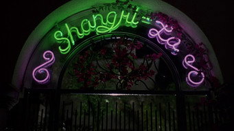 The Courtyard (1995)