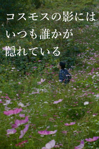 コスモスの影にはいつも誰かが隠れている