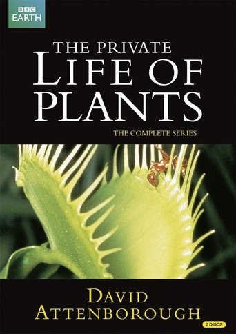 The Private Life of Plants (1995) The Private Life of Plants (1995)