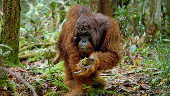 Episode 4 — Tangled Worlds