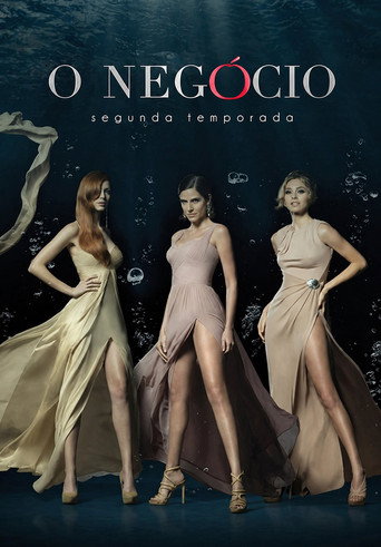 O Negocio — Posters 11