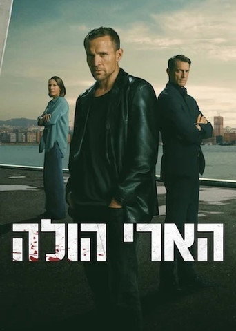 הארי הולה