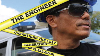 The Engineer (2013)
