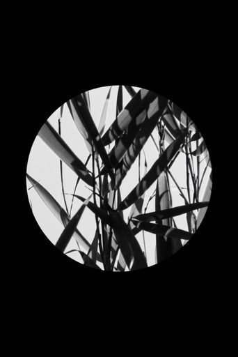 In the Footsteps of Li Yuan-chia & Delia Derbyshire (2021)
