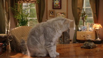 Episode 3 — Episode 3