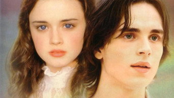 Galeria 4 - El bosque mágico de Tuck